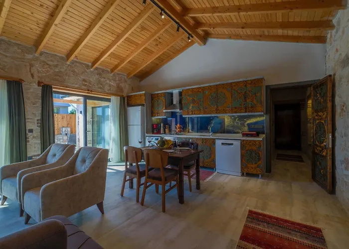 Mugla Fethiye Stone Daylight Villa 1